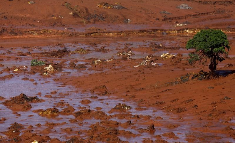 © Reuters. The Bento Rodrigues district is pictured covered with mud after a dam owned by Vale SA and BHP Billiton Ltd burst in Mariana