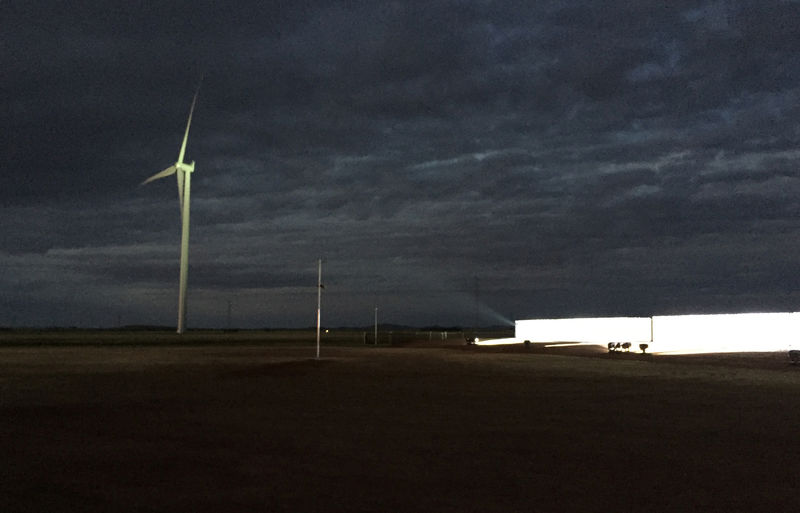 © Reuters. Baterias da Tesla são vistas em parque eólico em Hornsdale, Austrália