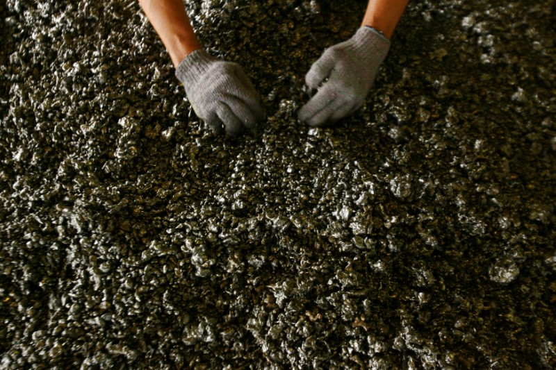© Reuters. FILE PHOTO - A worker displays nickel ore in a ferronickel smelter owned by state miner Aneka Tambang Tbk at Pomala district in Indonesia