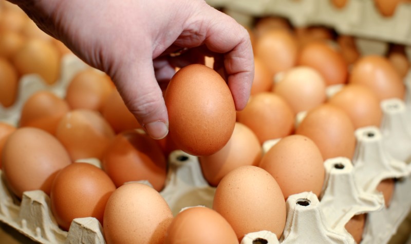 © Reuters. FILE PHOTO: An employee of an organic supermarket poses for the photographer with an egg from an organic farm in Berlin