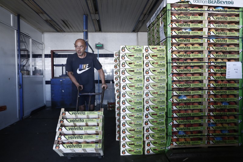 © Reuters. An employee pushes a trolley loaded with crates of peaches at the central vegetable market in Athens