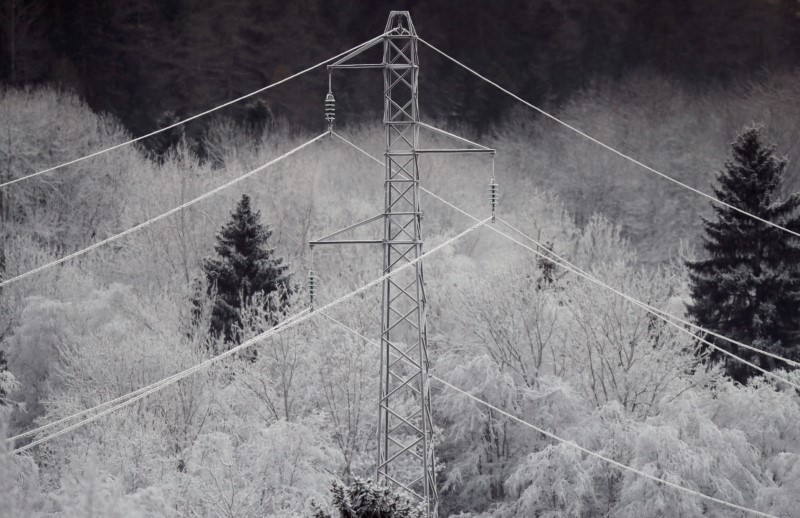 © Reuters. El invierno podría dar problemas a redes eléctricas en varios países europeos