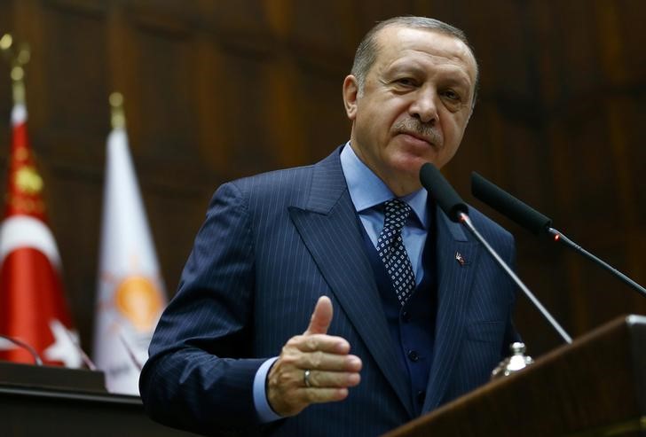 © Reuters. مصادر تركية: إردوغان يبحث مع الرئيس الألماني تحسين العلاقات