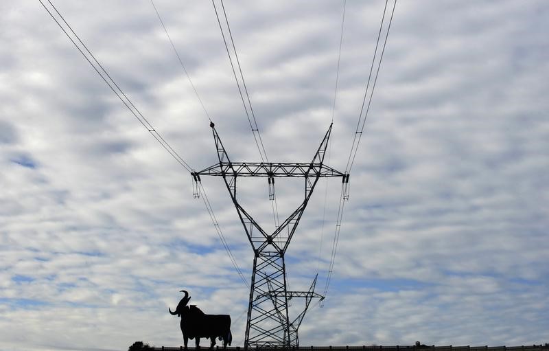 © Reuters. Desarticulada en España una organización por fraude al comercializar energía