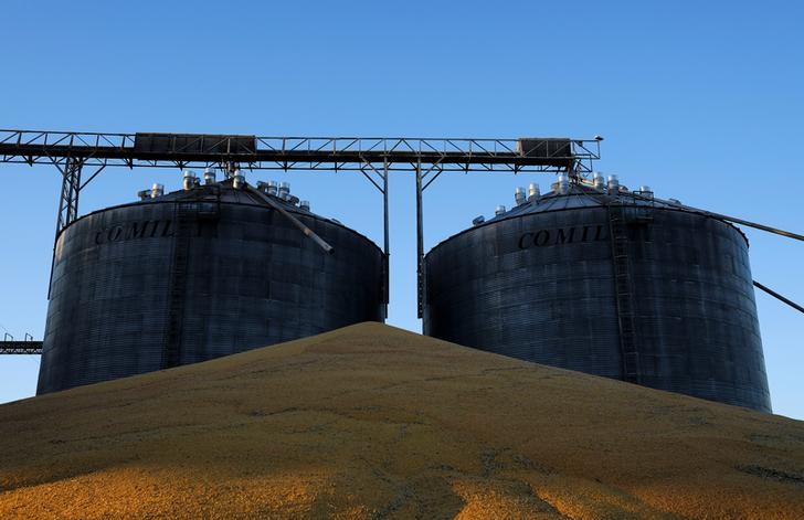 © Reuters. Vista geral mostra milho estocado fora de silos cheios de milho em Sorriso, Brasil