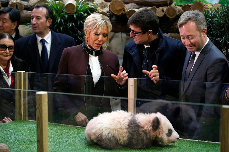 © Reuters. Brigitte Macron, wife of the French president, listens to Rodolphe Delord, director of the Beauval Zoo, as she attends a naming ceremony of the panda born at the zoo in Saint-Aignan-sur-Cher