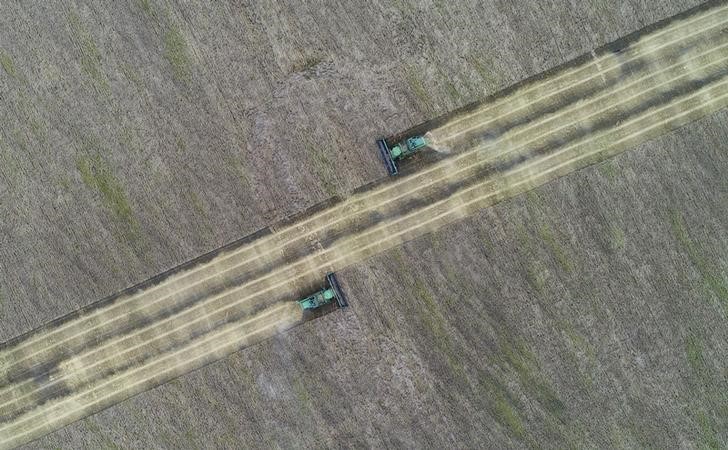© Reuters. Комбайны собирают пшеницу у села Кулун Красноярского края