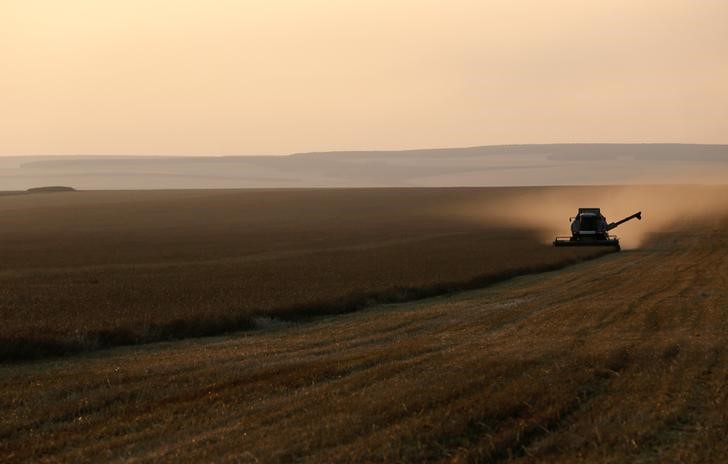 © Reuters. Colheitadeira é vista em lavoura de trigo perto de Legostaevo, Rússia