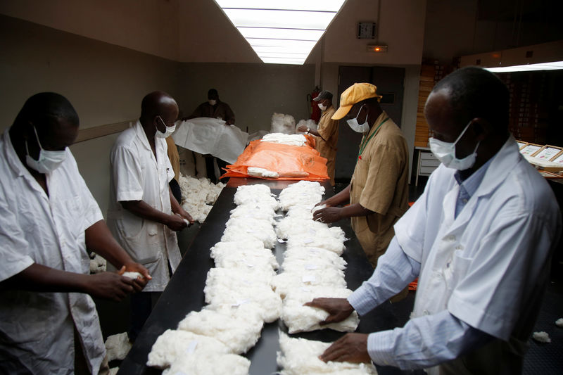 © Reuters. Men work inside a laboratory at Sofitex, Burkina Faso’s biggest cotton company, in Bobo-Dioulasso