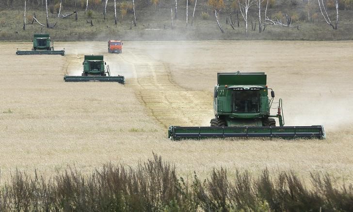 © Reuters. Máquinas colhem trigo em campo perto de Kulun, Rússia