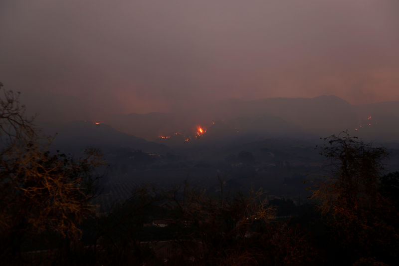 © Reuters. وفاة رجل إطفاء أثناء مكافحة حرائق الغابات بولاية كاليفورنيا