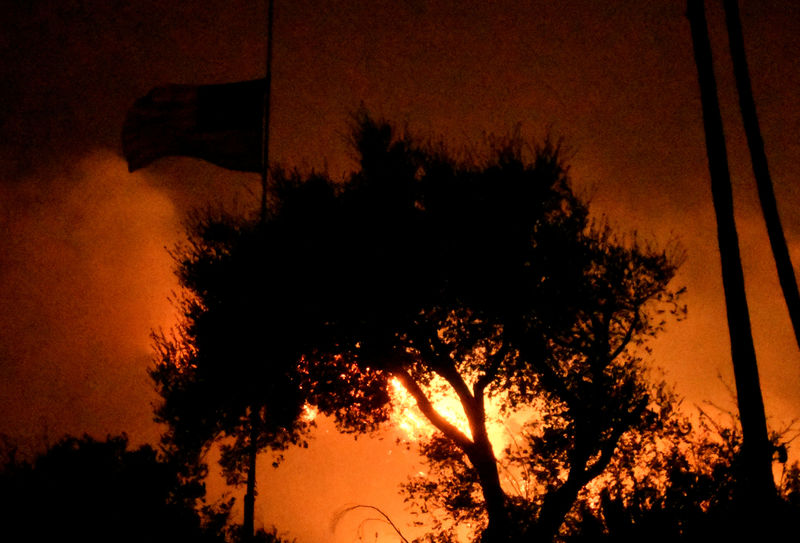 © Reuters. رياح كاليفورنيا تؤجج ثالث أكبر حرائق غابات في تاريخ الولاية