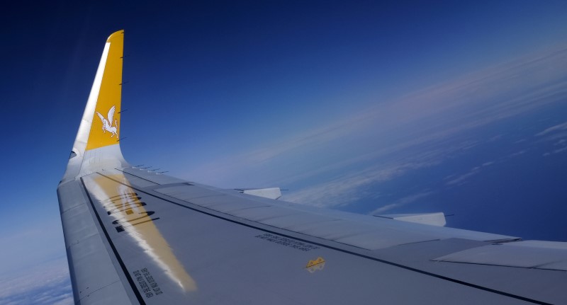 © Reuters. FILE PHOTO: Logo of the Turkish budget airline Pegasus is pictured on the wing of an Airbus A320-200 aircraft after it took off from Sabiha Gokcen International airport in Istanbul