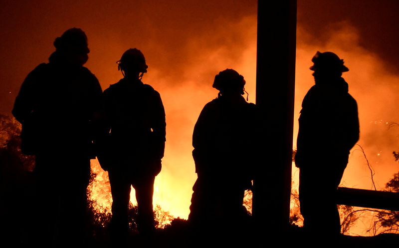 © Reuters. حريق غابات كاليفورنيا يصبح الأكبر في تاريخ الولاية