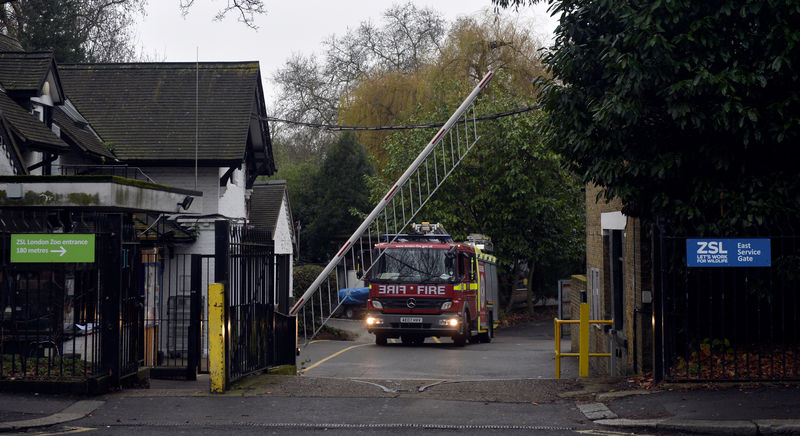 © Reuters. السيطرة على حريق في حديقة حيوان لندن