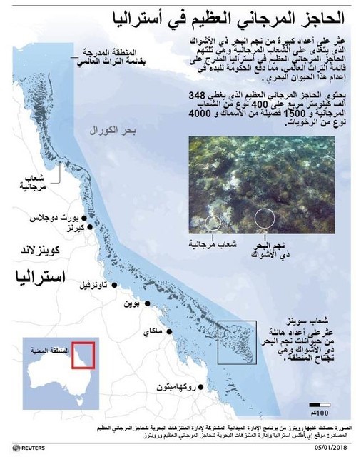 © Reuters. علماء: نجم البحر يلتهم الحاجز المرجاني العظيم في استراليا
