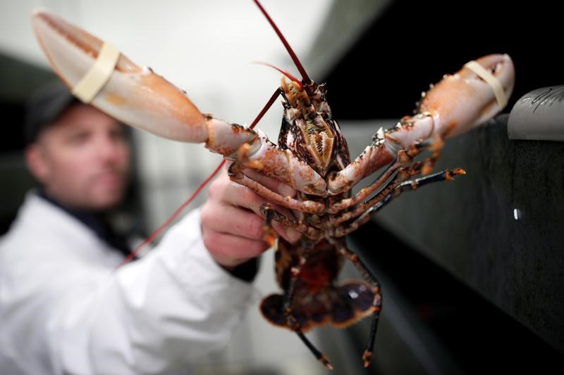 © Reuters. EN SUISSE, MERCI D'ASSOMMER LE HOMARD AVANT DE LE CUIRE