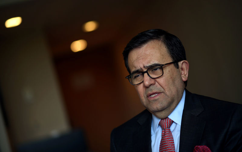 © Reuters. Mexico's Economy Minister Guajardo speaks during an interview with Reuters at the 11th WTO's ministerial conference in Buenos Aires