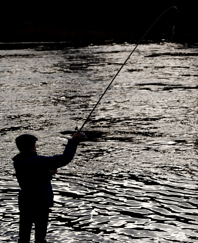 © Reuters. An angler casts his line on the opening day of the salmon fishing season on the River Tay at Kenmore in Scotland