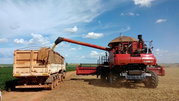 © Reuters. Colheita de soja em plantação de Campo Verde, Mato Grosso