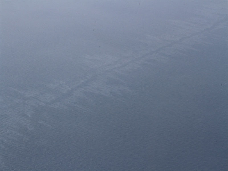 © Reuters. The oil spill from a stricken Iranian tanker Sanchi that sank on Sunday is seen in the East China Sea