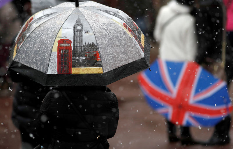 © Reuters. FILE PHOTO: Tourists stand in the snow outside Buckingham Palace, London