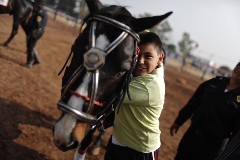 © Reuters. Handicapped child embraces a horse after a session of equine-assisted therapy at the Mounted Police Unit in Mexico City