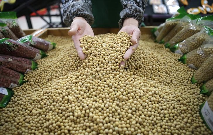 © Reuters. Pessoa mostra grãos de soja em mercado de Wuhan, China