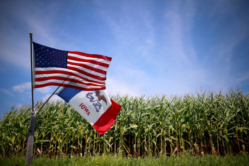 © Reuters. File photo of a U.S. and Iowa state flag are seen next to a corn field in Grand Mound