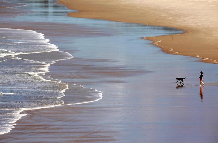 © Reuters. FILE PHOTO - A woman walks with her dog into the surf at Fingal Beach, south of the Queensland and New South Wales border