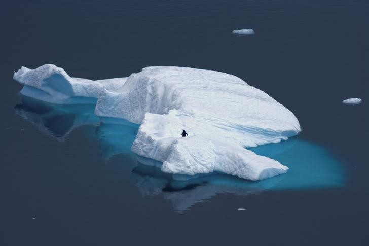 © Reuters. FILE PHOTO - A supplied image shows a penguin standing atop an iceberg in Antarctica