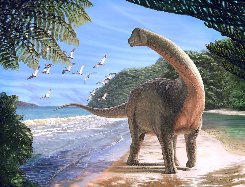 © Reuters. Descubren un fósil de dinosaurio de casi 10 metros de largo en el desierto egipcio