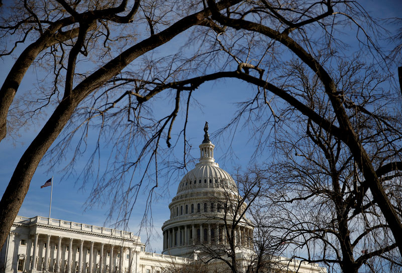 © Reuters. The U.S. Capitol is seen from behind trees after President Donald Trump and the U.S. Congress failed to reach a deal on funding for federal agencies in Washington