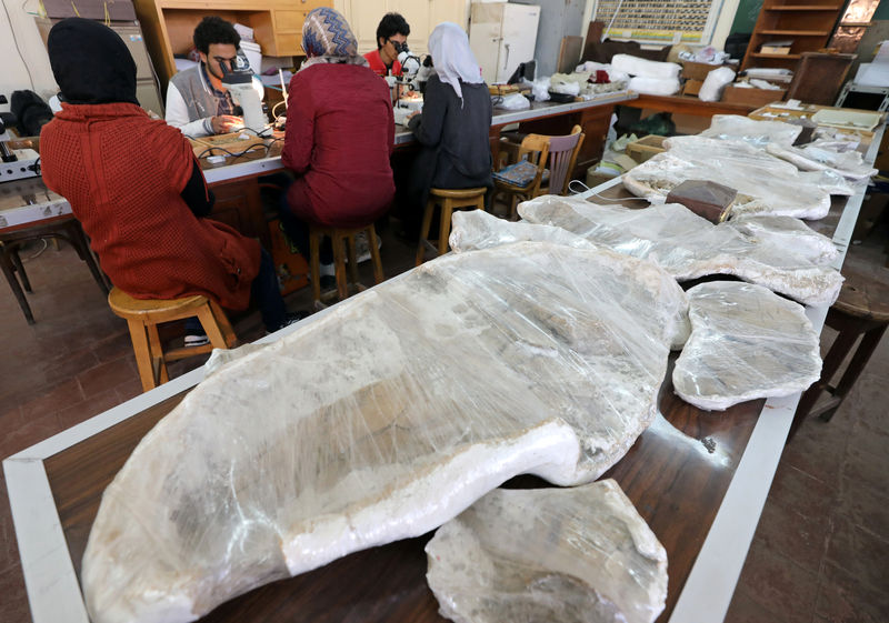 © Reuters. بعد منصوراصورس.. باحثون مصريون يأملون في اكتشاف ديناصورات أخرى