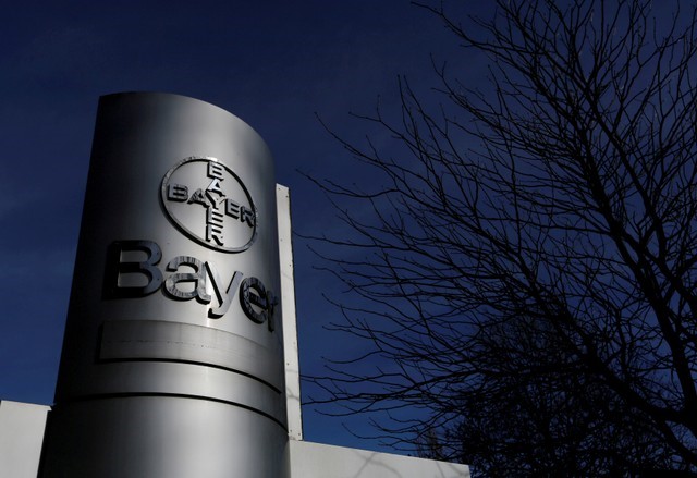 © Reuters. FILE PHOTO - The logo of Bayer AG is pictured at the Bayer Healthcare subgroup production plant in Wuppertal