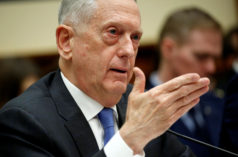 © Reuters. U.S. Defense Secretary Jim Mattis testifies to the House Armed Services Committee in Washington