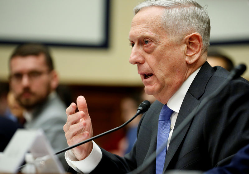 © Reuters. U.S. Defense Secretary Jim Mattis testifies to the House Armed Services Committee in Washington