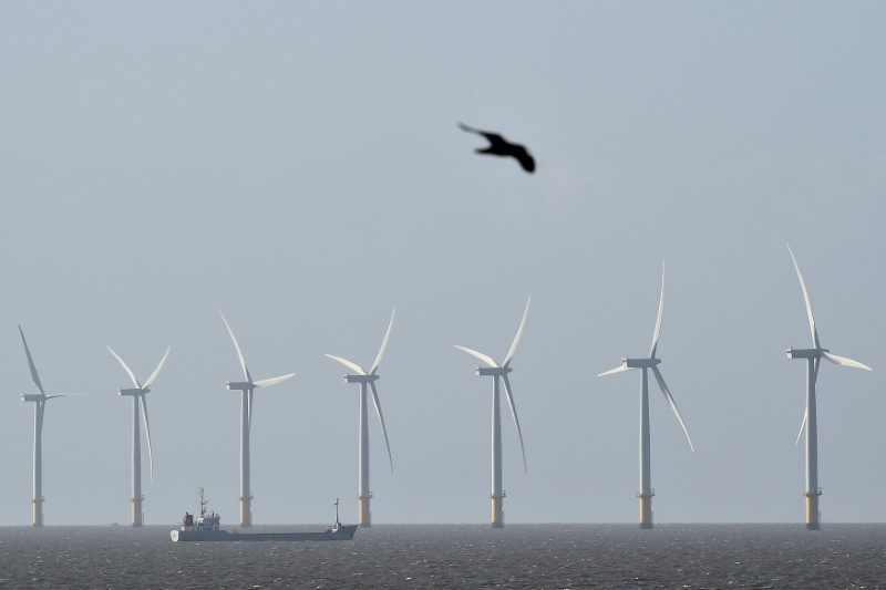 © Reuters. FILE PHOTO: A cargo ship passes in front of an off-shore wind farm in the English Channel near Clacton-on-Sea in south east England