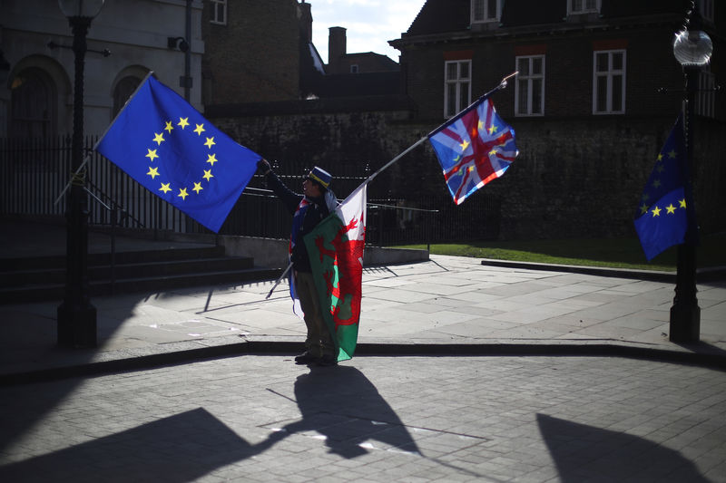 © Reuters. An anti-Brexit demonstrator waves EU, Union and Welsh flags opposite the Houses of Parliament in London