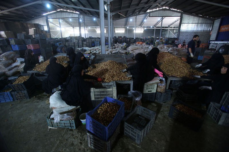 © Reuters. في انتصار رمزي، إيران تهيمن على سوق التمور العراقية