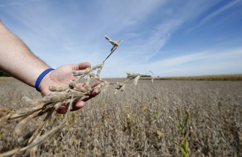 © Reuters. Agricultor segura soja em plantação em Minooka, Illinois, EUA