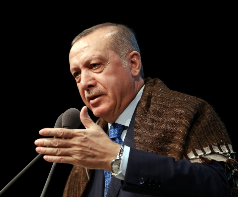 © Reuters. إردوغان يشكو لماكرون المزاعم غير الصحيحة حول عملية عفرين