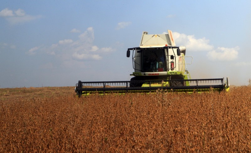 © Reuters. Máquina de colheita coletando grãos em fazenda de soja