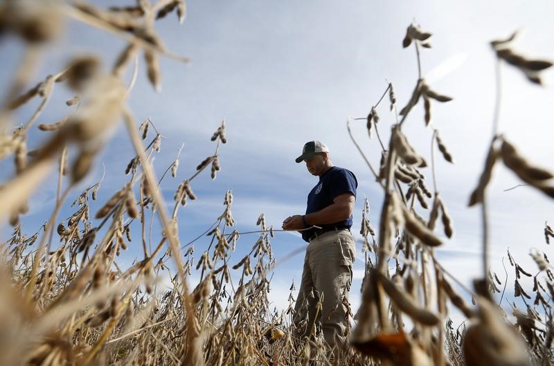 © Reuters. Agricultor em plantação de soja pronta para colheita em Minooka, Illinois, EUA