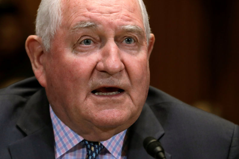 © Reuters. U.S. Agriculture Secretary Sonny Perdue testifies before a Senate Subcommittee in Washington