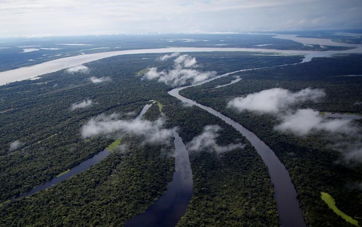 © Reuters. La Reserva de Desarrollo Sostenible Mamiraua se ve en Uarini, estado de Amazonas, Brasil