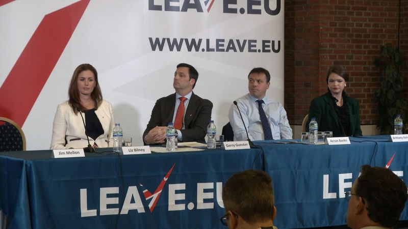 © Reuters. FILE PHOTO: A still image taken from video shows Brittany Kaiser of Cambridge Analytica, Arron Banks, Gerry Gunster and Liz Bilney at the launch of the Leave.EU campaigning organisation, in London