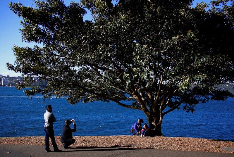 © Reuters. الصين تتقدم على نيوزيلندا من حيث التدفق السياحي إلى استراليا
