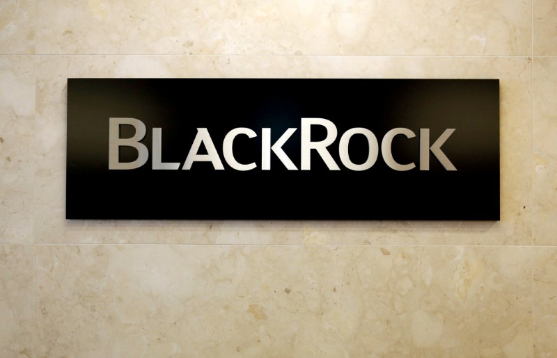 © Reuters. FILE PHOTO: BlackRock logo is seen at the BlackRock Japan headquarters in Tokyo