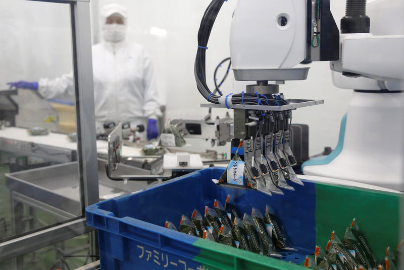 Japanese companies see big things in small-scale industrial robots